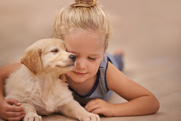 Application of Inactive Yeast in Pet Food