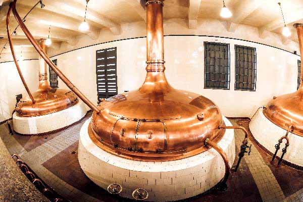 New fermention strategy of whisky with Yellow Label Angel Yeast