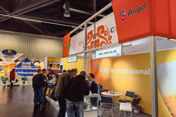 222222a.jpg 222222a.jpg