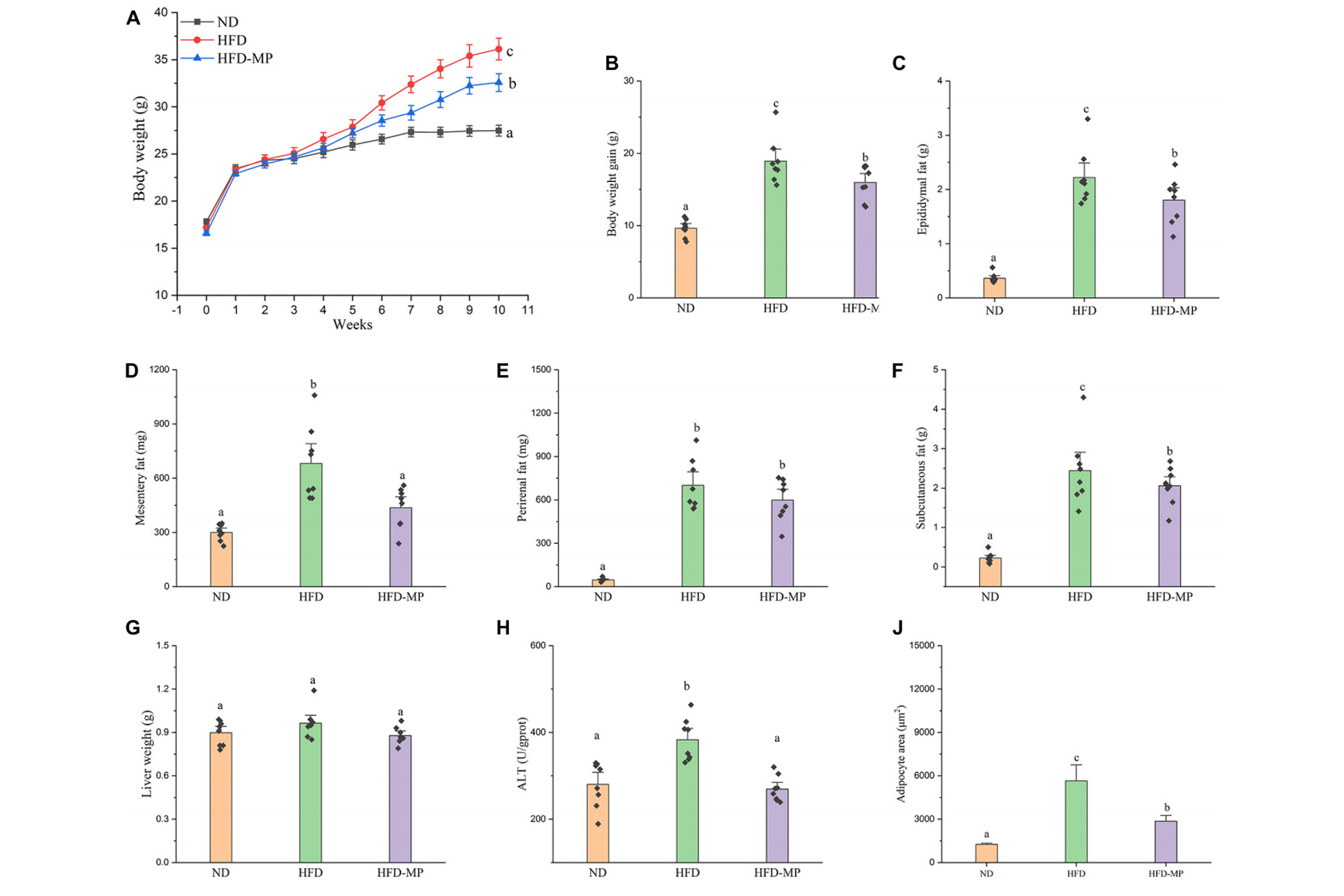 Impact-of-HFD-and-MP-intervention-on-body-features-of-mice.jpg Impact-of-HFD-and-MP-intervention-on-body-features-of-mice.jpg