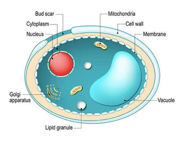 问题1.jpg 问题1.jpg