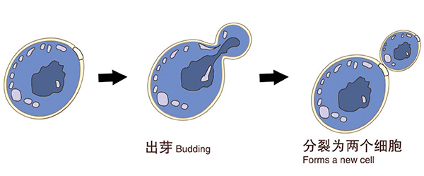 问题5.jpg 问题5.jpg