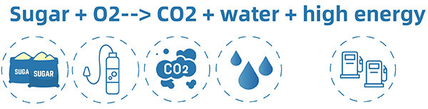 问题4.jpg 问题4.jpg