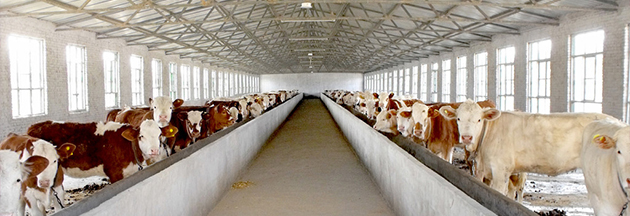 31142352141.jpg 31142352141.jpg