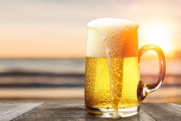 Application of Angel BF16 in lagers brewing