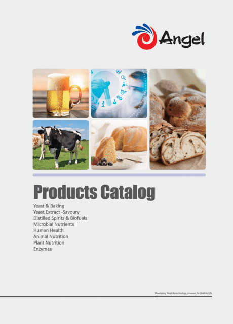 Products Catalog of Angel