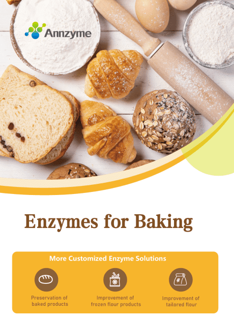 List of Baking Enzymes