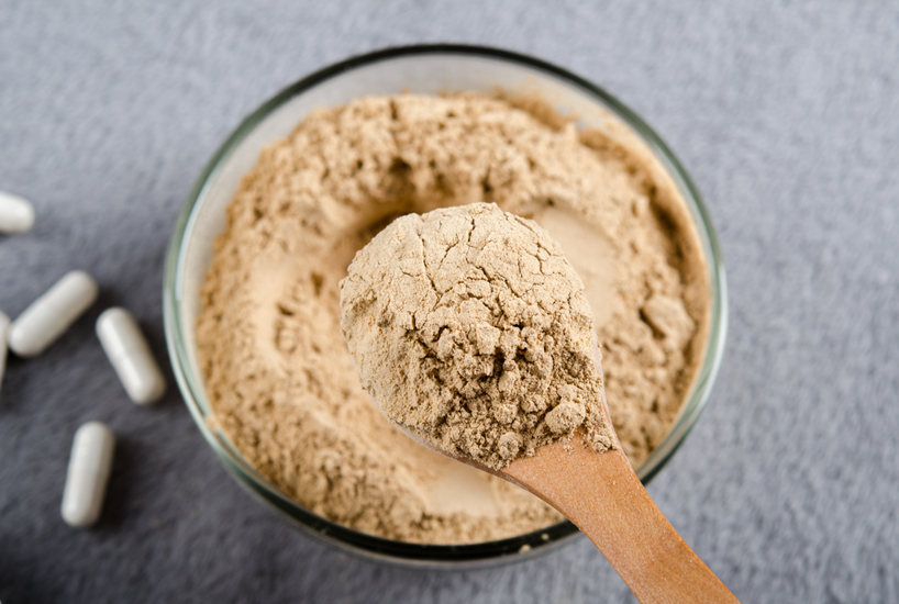 Angel yeast RNA Angel yeast RNA