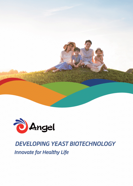 Angel Yeast Profile